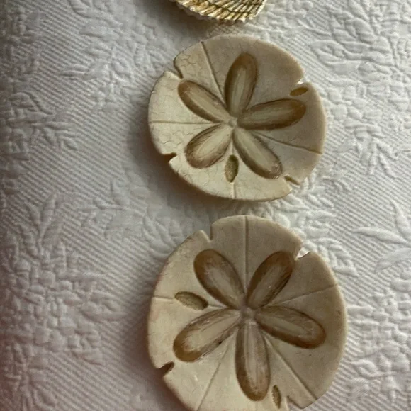 Sand Dollars  and shell Decor Set - Picture 2 of 11